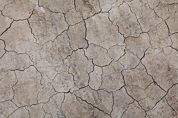 Image showing Dried crack land 