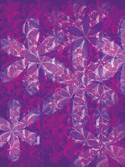 Image showing petal purple