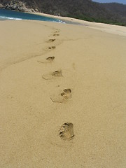 Image showing Foot traces