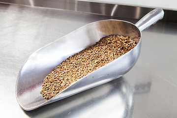 Image showing Beer Malt