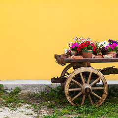 Image showing Tuscany flowers