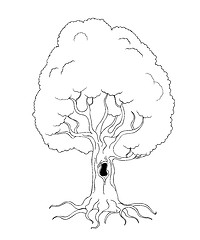 Image showing Coloring book tree