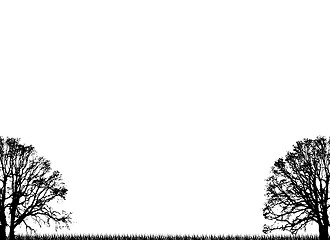 Image showing plain trees