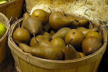 Image showing Pears on basket