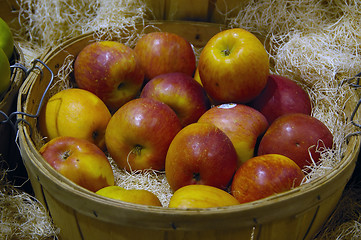 Image showing Apples on basket