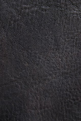 Image showing Black Leather