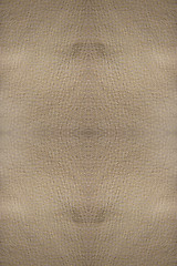 Image showing Light leather background