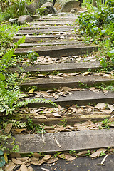 Image showing Wooden steps

