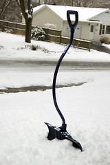 Image showing Shovel on snow
