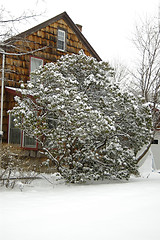 Image showing After snow