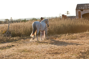 Image showing young woman walking a road with horse