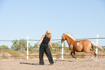 Image showing young woman training horse outside in summer