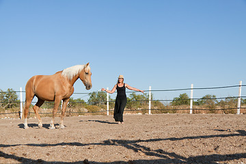 Image showing young woman training horse outside in summer