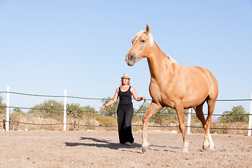 Image showing young woman training horse outside in summer