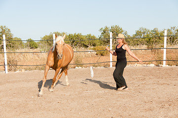 Image showing young woman training horse outside in summer