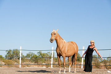 Image showing young woman training horse outside in summer