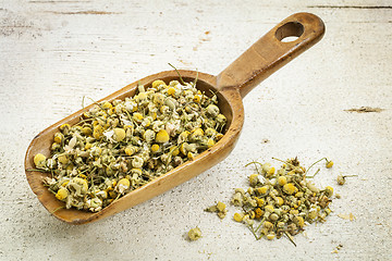 Image showing scoop of chamomile herb tea