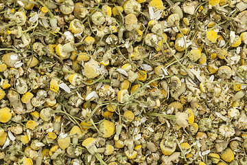 Image showing organnic chamonile herb tea