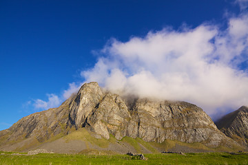 Image showing Coastal cliffs