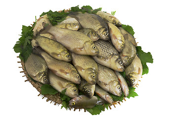 Image showing River fish (carp) and the greens on a round dish.