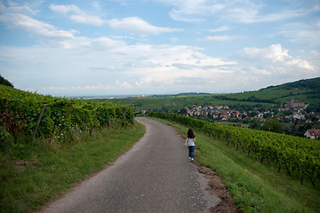 Image showing Alsace landscape and vinewyard