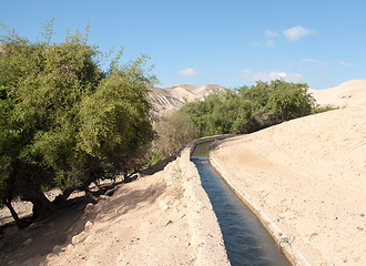 Image showing Hiking in judean desert