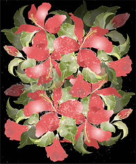 Image showing Greeting card with hibiscus. Illustration hibiscus.