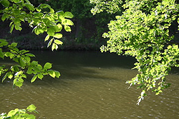 Image showing Forest Lake