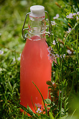 Image showing Rhubarb juice