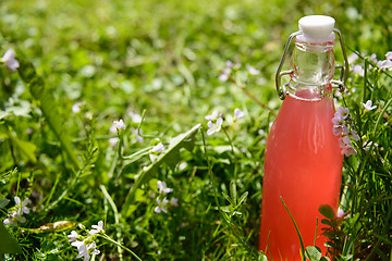 Image showing Rhubarb juice