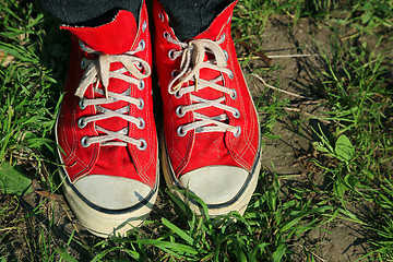 Image showing Vintage red sneakers 