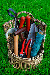 Image showing Garden tools