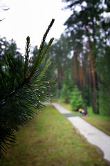 Image showing Katyn