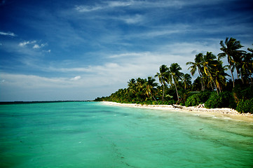 Image showing Ocean Coast Line