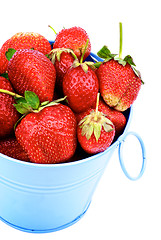 Image showing Strawberries in Blue Bucket