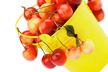 Image showing Sweet Cherries