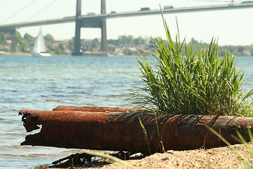 Image showing Rusty Pipe