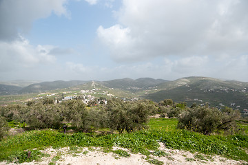 Image showing Sebastia archeology ancient ruins