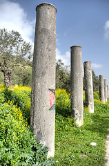 Image showing Sebastia archeology ancient ruins