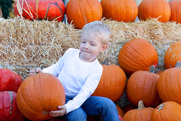 Image showing child at pumpkin patch