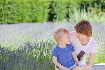 Image showing family at flower field