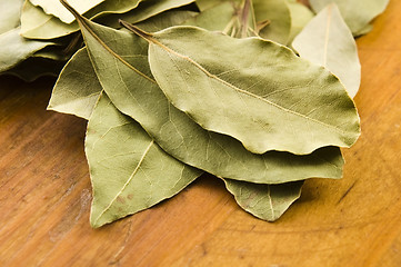 Image showing bay leafs