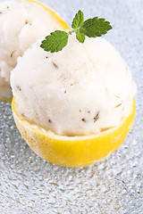 Image showing lemon sorbet with lavender in cups of lemon