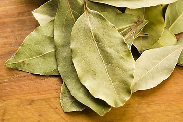 Image showing bay leafs