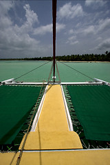 Image showing tropical lagoon catamaran navigable   in  dominicana