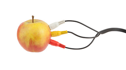 Image showing Audio video cables on apple