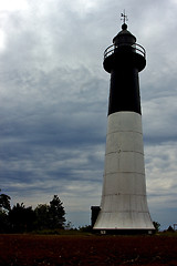 Image showing lighthouse plant   hill bush  