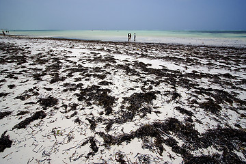 Image showing people beach  sea 