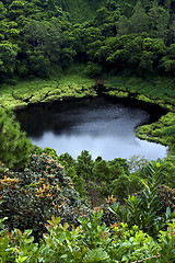 Image showing  lake mountain plant  