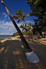 Image showing madagascar nosy be  sand